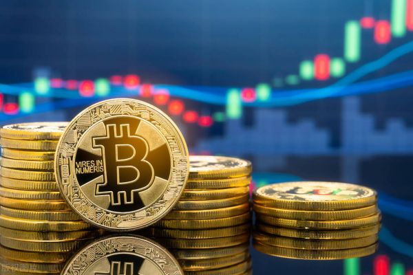 BTC价格发现机制与市场效率的深度剖析