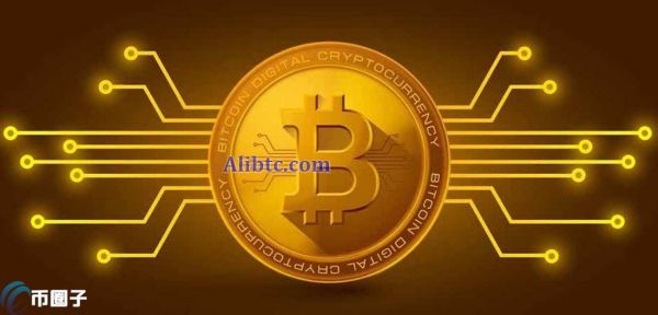 新手小白适合长期持有BSV还是BCH？