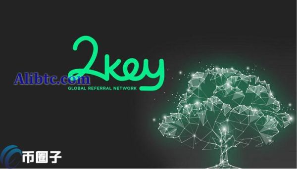 2KEY是什么币种？2KEY币全面介绍