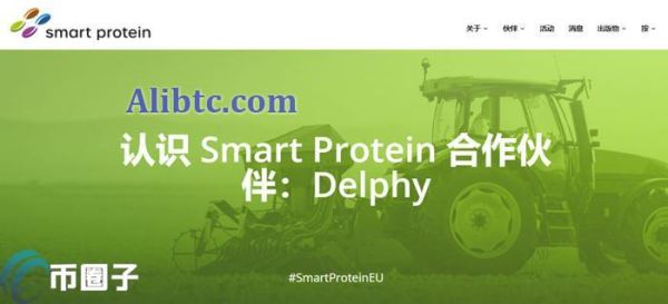 DPY是什么币种？DPY/天算币怎么样？