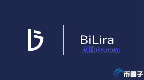 TRYB是什么币种？一文读懂TRYB币