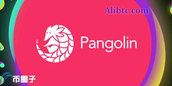 PNG是什么币种？一文了解PNG币
