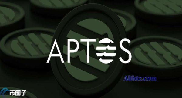 详细分析APT币未来能超过SOL吗？