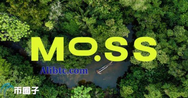 MCO2是什么币种？MCO2币全面介绍