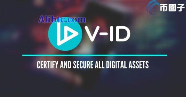 VIDT是什么币种？VIDT币全面介绍