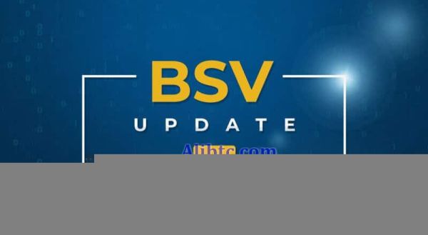 BSV币发行价多少钱？比特币SV发行价介绍