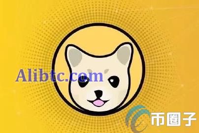 KISHU是什么币种？KISHU币前景和价值分析