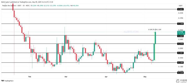 PNUT、PEPE币价格上涨逾50%