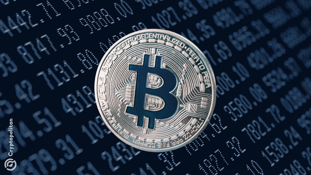 BTC 主导地位略有下滑，而 Solana 和 XRP 则迎来资本复苏