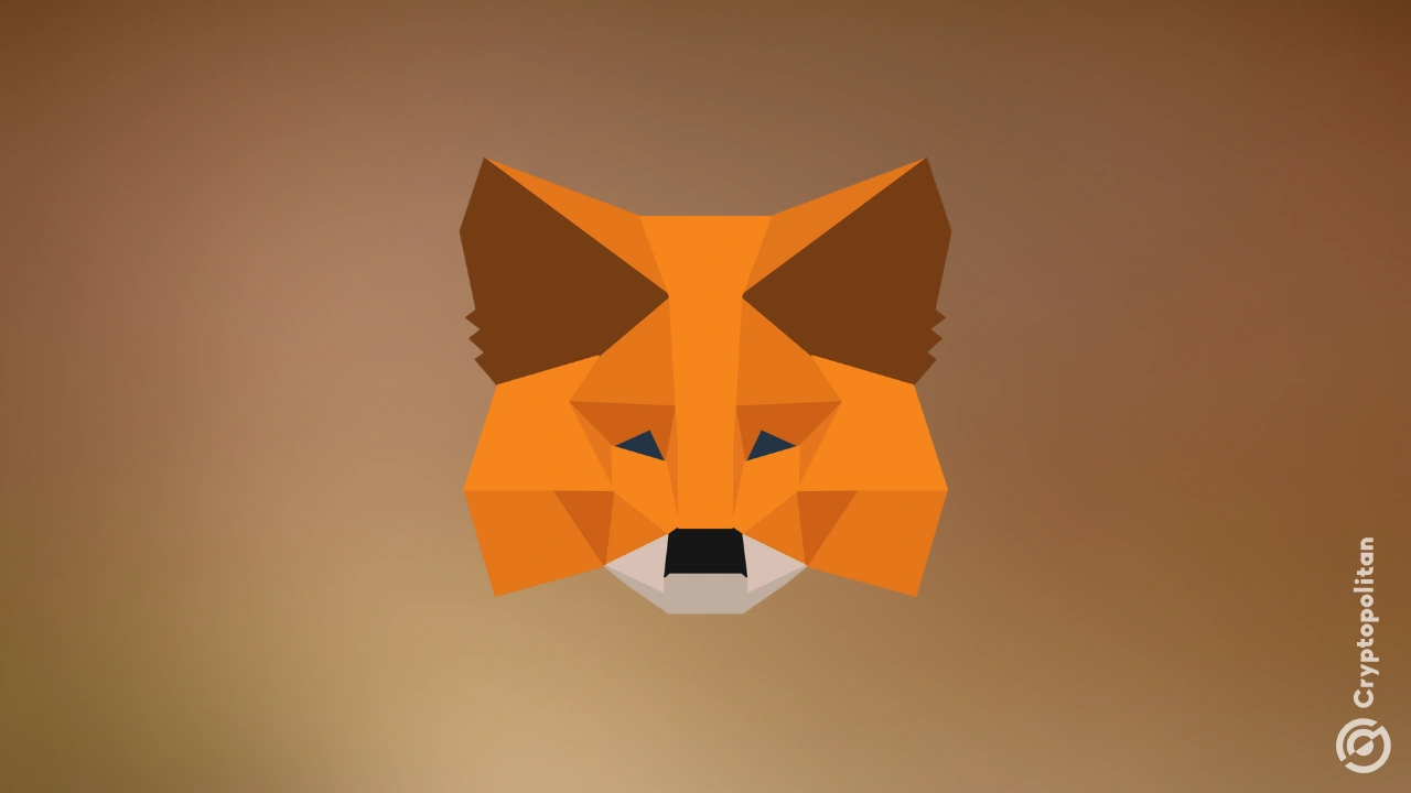 MetaMask 负责人确认仍在考虑原生代币