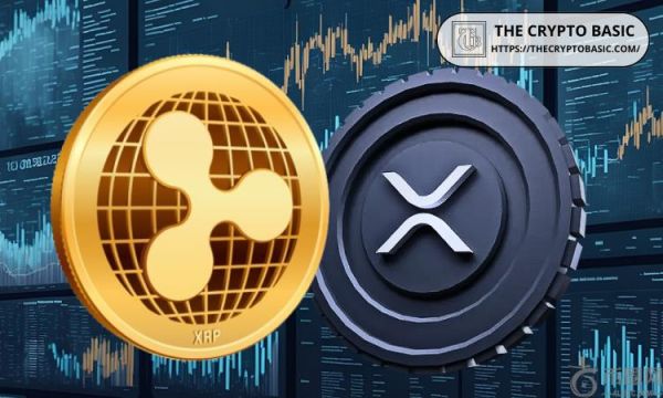 与 2024 年最后一个季度相比，XRP 的持有量是多少