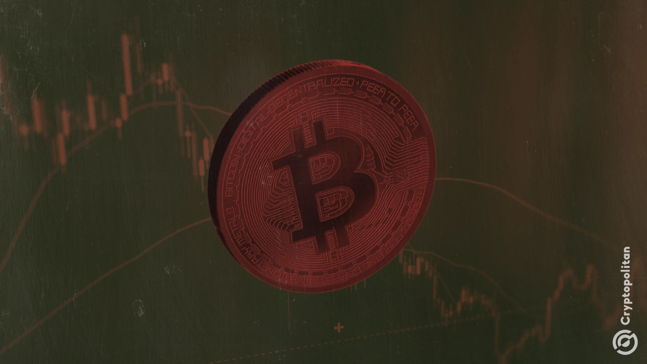 Bitfarms 放弃比特币挖矿，转而利用人工智能，损失 3600 万美元