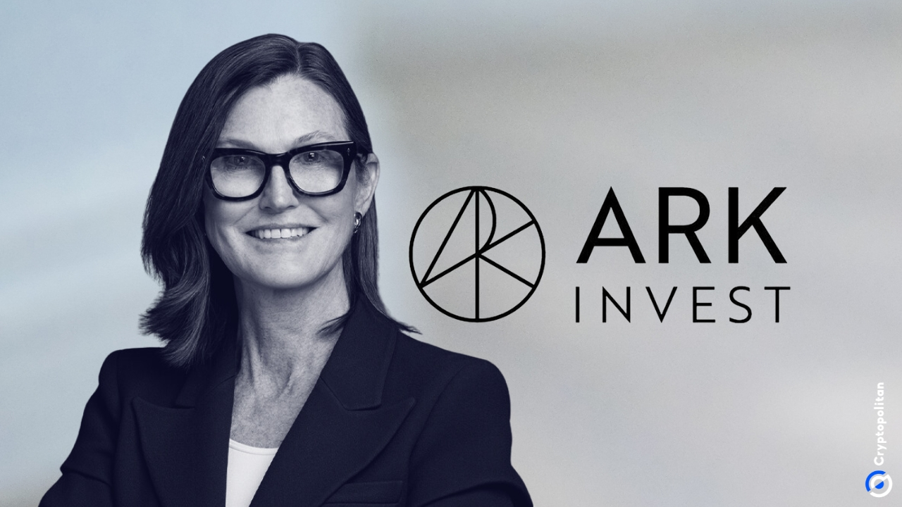 ARK 首席执行官称赞 Coinbase 和特斯拉引领区块链和股票市场转型