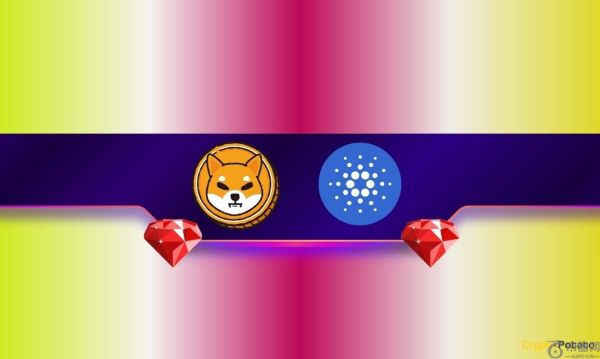 分析师称，柴犬 (SHIB) 和 Cardano (ADA) 是“具有 100 倍潜力的宝石”