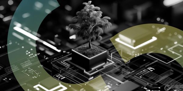 特朗普的加密货币政策转向推动需求，IPO 文件看涨：金融时报