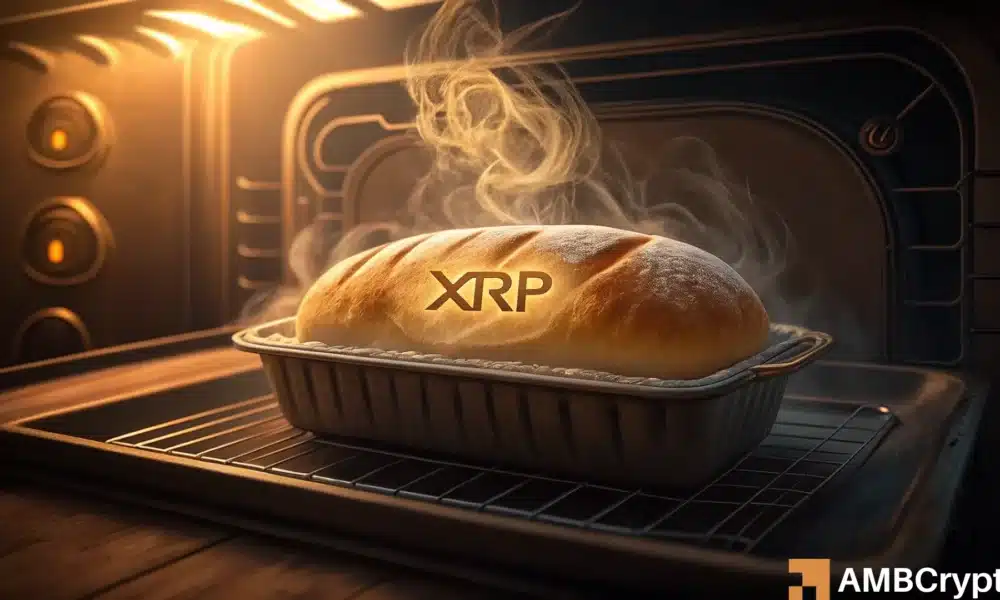 解读 XRP 的崛起：LTH 坚守，所有人的目光都集中在这个价格水平上！