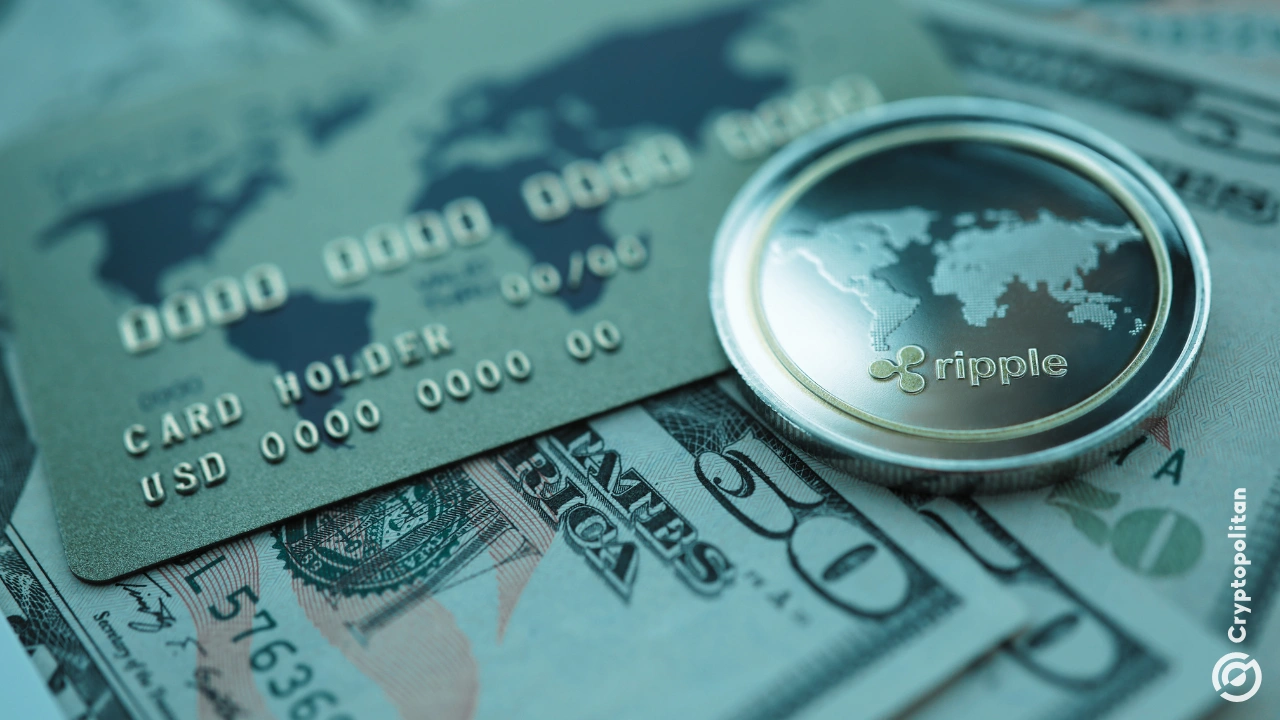 Ripple 向日本提供 20 万美元资助，标志着 XRPL 链上活动停滞的紧迫性