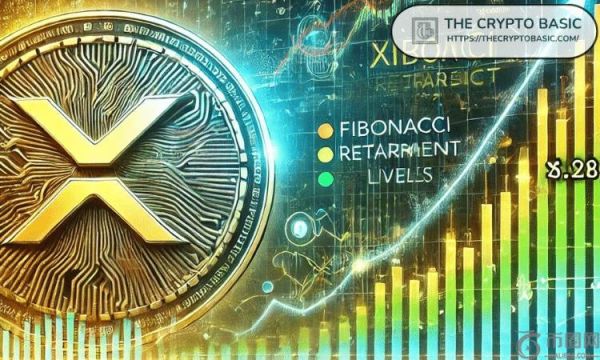 专家认为 XRP 是加密货币的 Starlink：原因如下