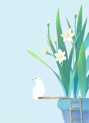 惹上战神王爷：王妃她又在装柔弱