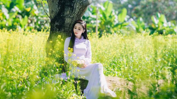 小说不见他的月光苏辰林清婉赵恒章节免费免费试读地址