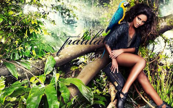 《重生我不再帮妹妹拒绝救赎》小说章节在线阅读 林薇沈澈苏雅小说阅读