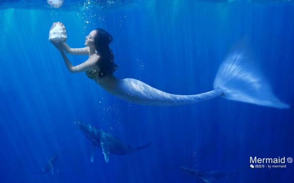 姜麦秋霍政淮精彩章节全文全集精彩试读 姜麦秋霍政淮小说免费阅读