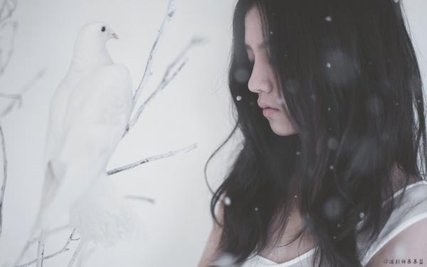 《凌尘凌薇》星尘锻骨之回响大结局在线试读