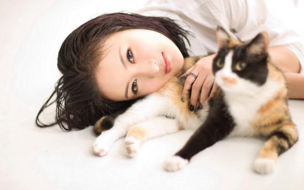 《秋声折柳终别绪》全文精彩章节在线阅读(傅景川宋知意叶诗雨)